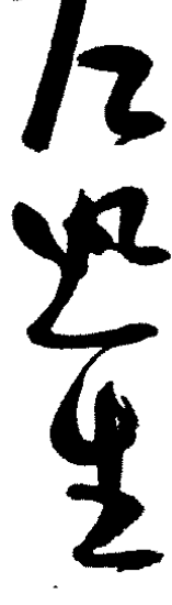 左思生
