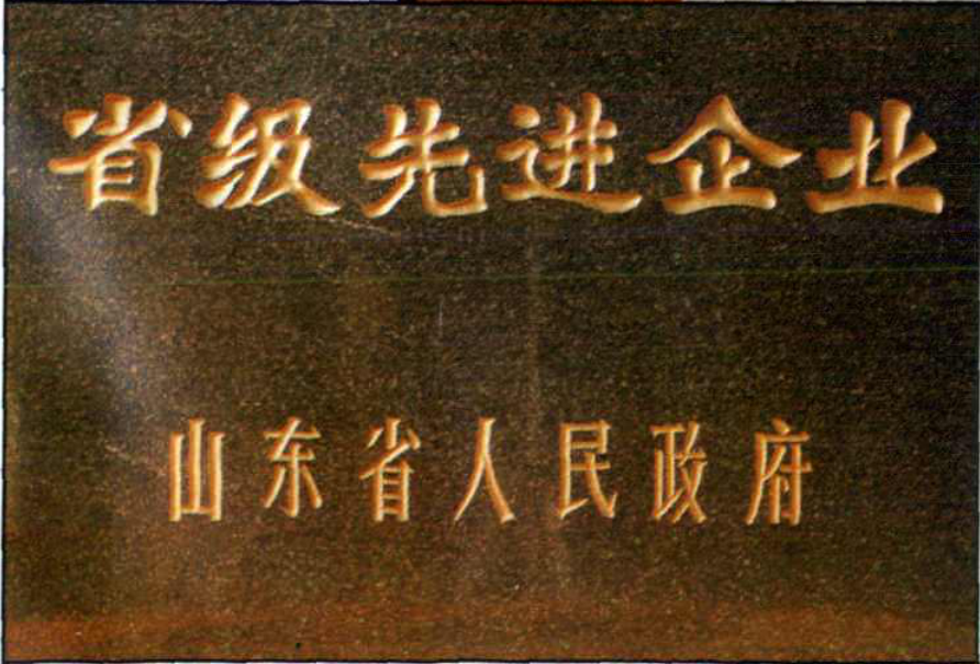 一块写有“省级先进企业”和“山东省人民政府”的牌匾。