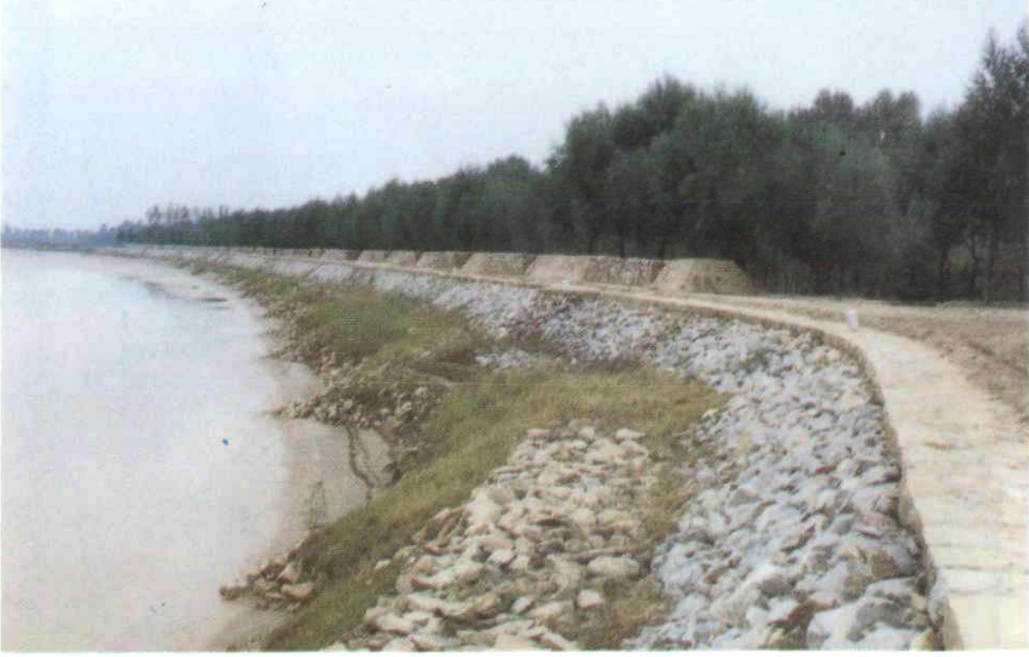 河流岸边修建的护岸工程，带有石块铺砌和一条小路，背景为茂密的树林