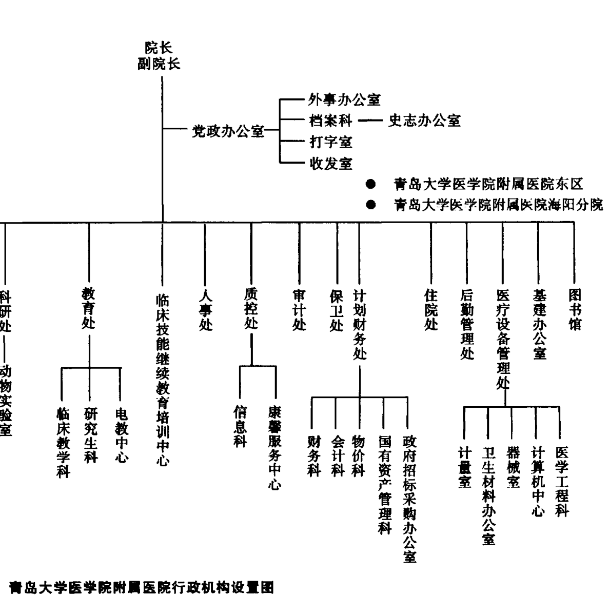 展示青岛大学医学院附属医院行政机构设置的树状结构图