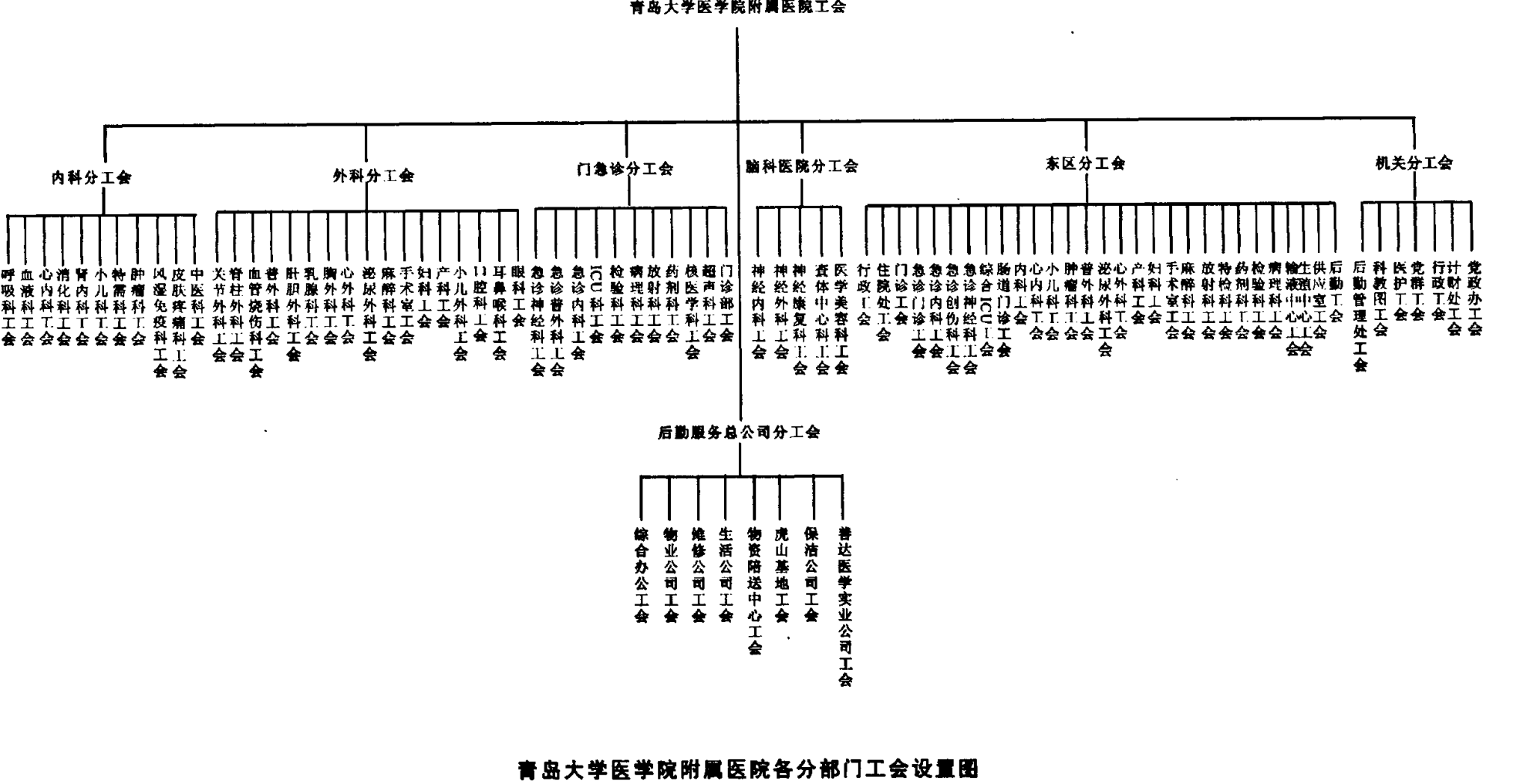 青岛大学医学院附属医院各分部门工会设置图结构框图