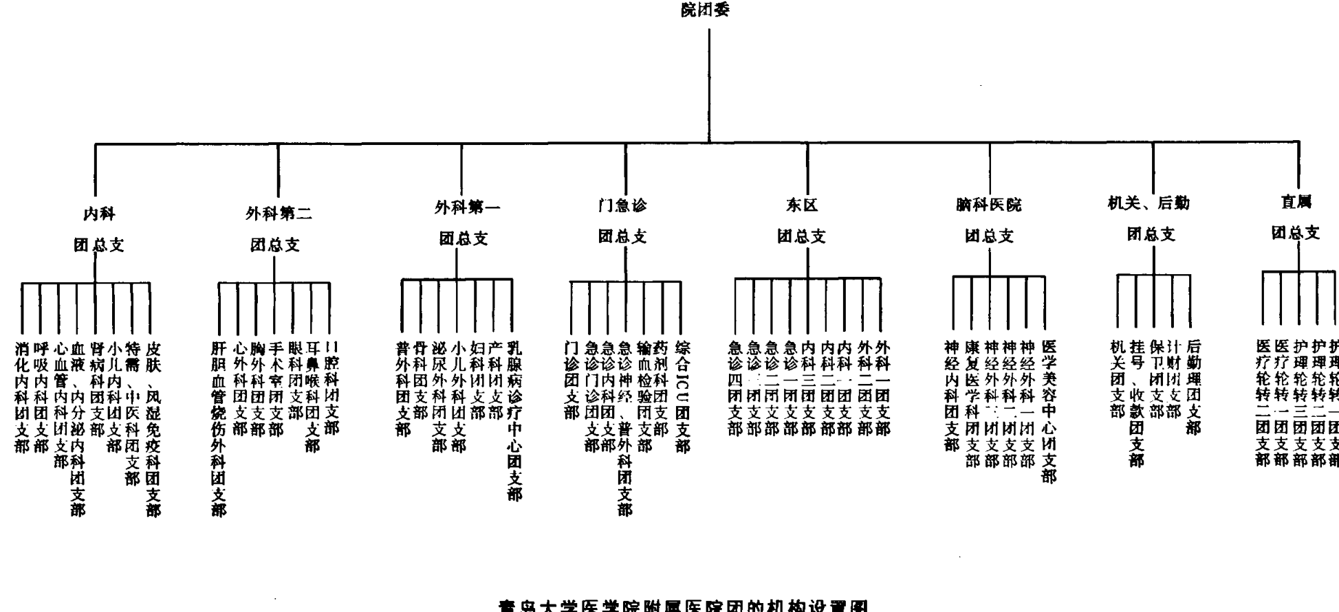 展示院团委下设各科室团总支及团支部层级关系的组织结构图