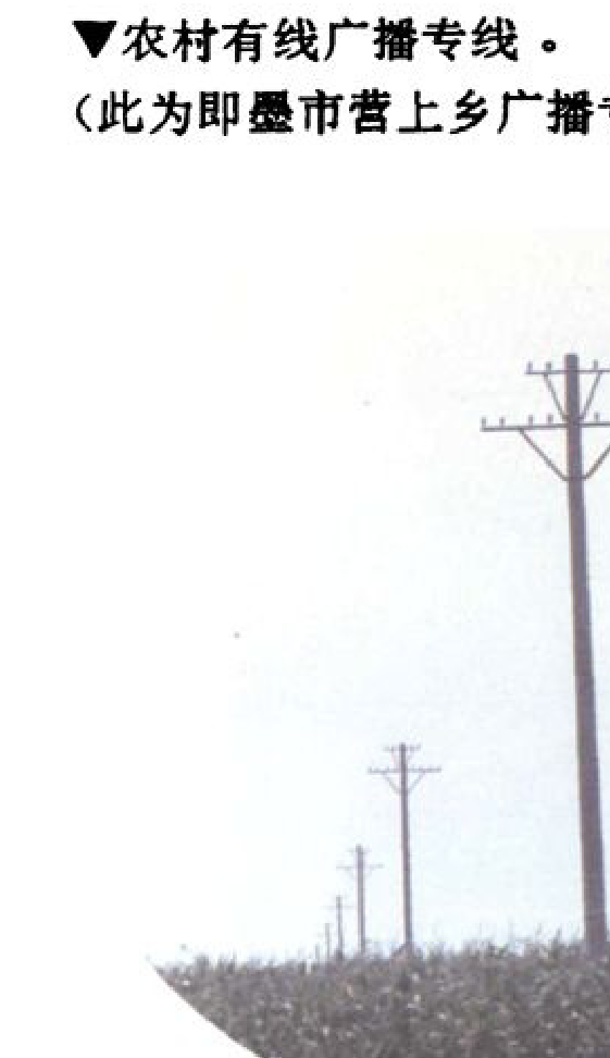 几根电线杆在田野上排列，天空中布满电线。