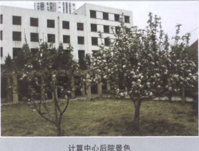 带有树木和建筑物的计算中心后院景色照片