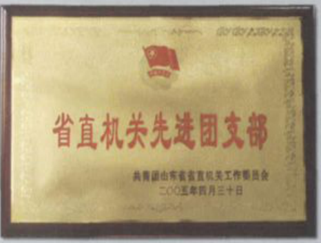 省直机关先进团支部奖牌