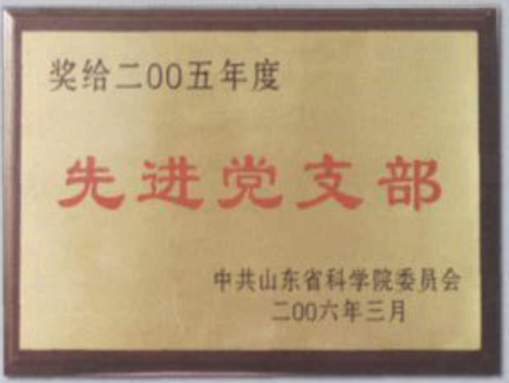 先进党支部奖牌