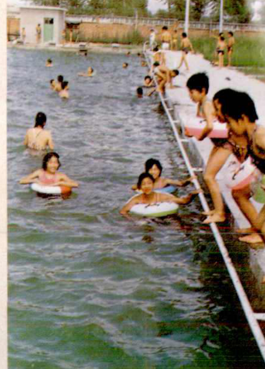 许多人在游泳池里游泳和玩耍。