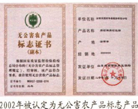 一张无公害农产品标志证书的表格与正文