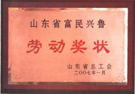 山东省富民兴鲁劳动奖状