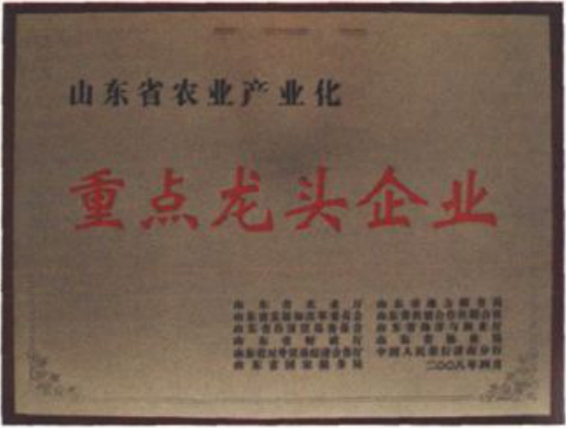 山东农业产业化重点龙头企业奖牌