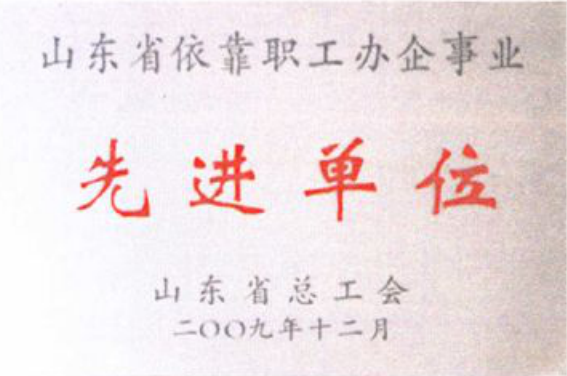 山东省依靠职工办企事业先进单位奖牌照片