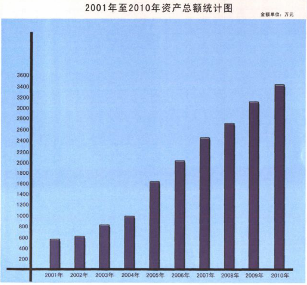展示2001年至2010年资产总额的柱状图