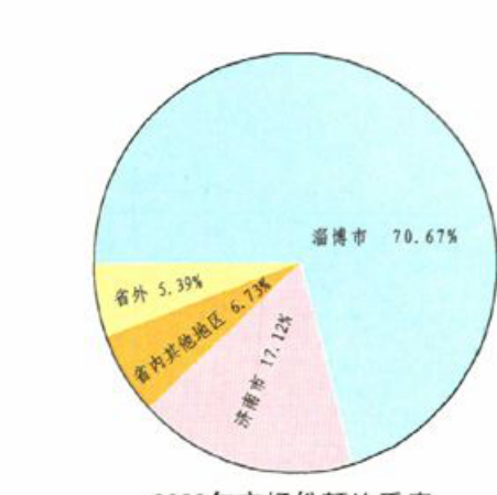 展示2009年市场份额比例的饼图
